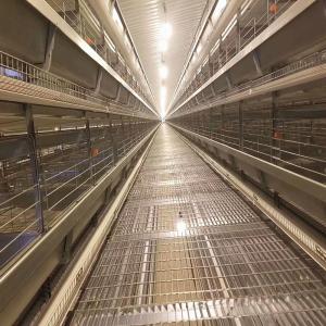 China 450cm2/Bird Q235 Steel Layer Battery Chicken Cage 150kgs Weight wholesale