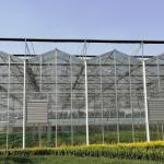 Water Production Agricultural Greenhouse Manufacturer Growing Hydroponic System