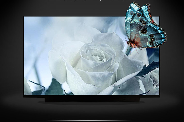 M133NVF3 R0 IVO 13.3" 1920(RGB)×1080, 300 (cd/m²) INDUSTRIAL LCD DISPLAY