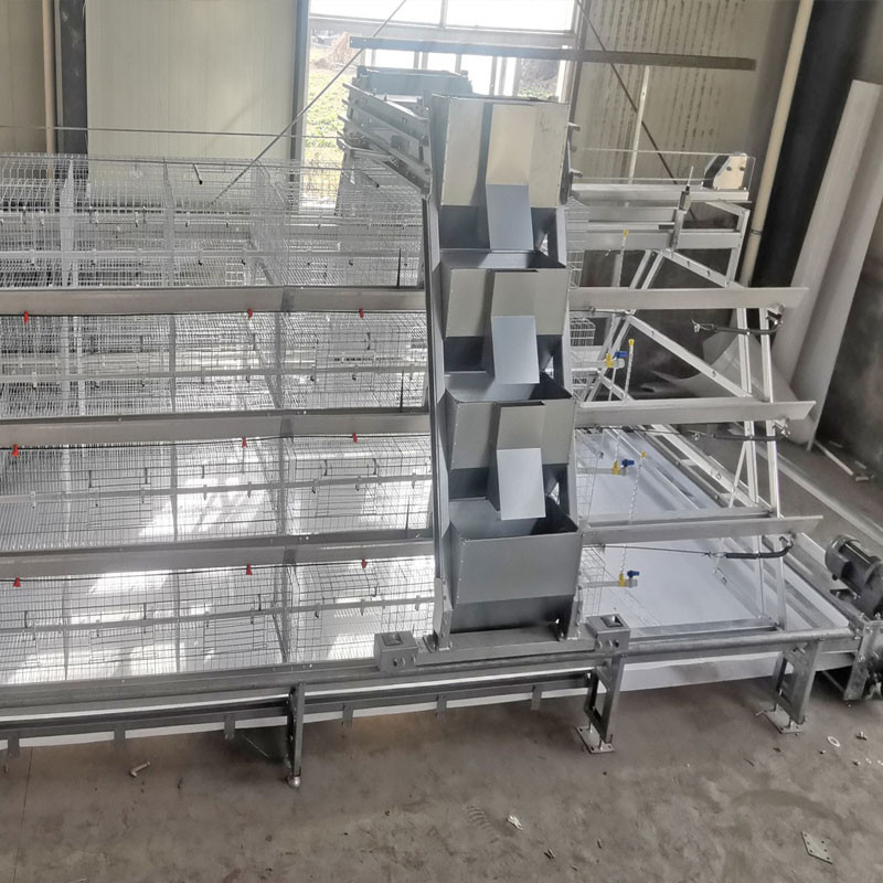 Baby Chick Cage With Full Automatic System For Farm