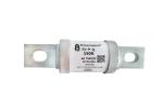 750VDC Electric Vehicle Fuses Low Current 150A ROHs Standard