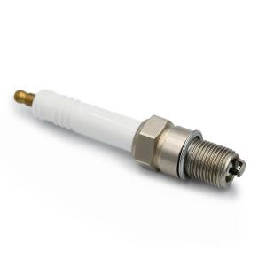 China Engine Spare Part Replacement For CHAMPION RB77CC wholesale