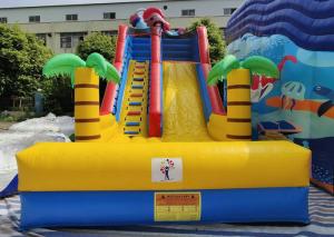 China Lyons new design outdoor commercial large inflatable bouncer water slide for kids wholesale
