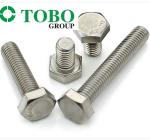 Stainless Steel 304 316 316L DIN 931 DIN 933 A2-70 Stainless Steel Bolts SS