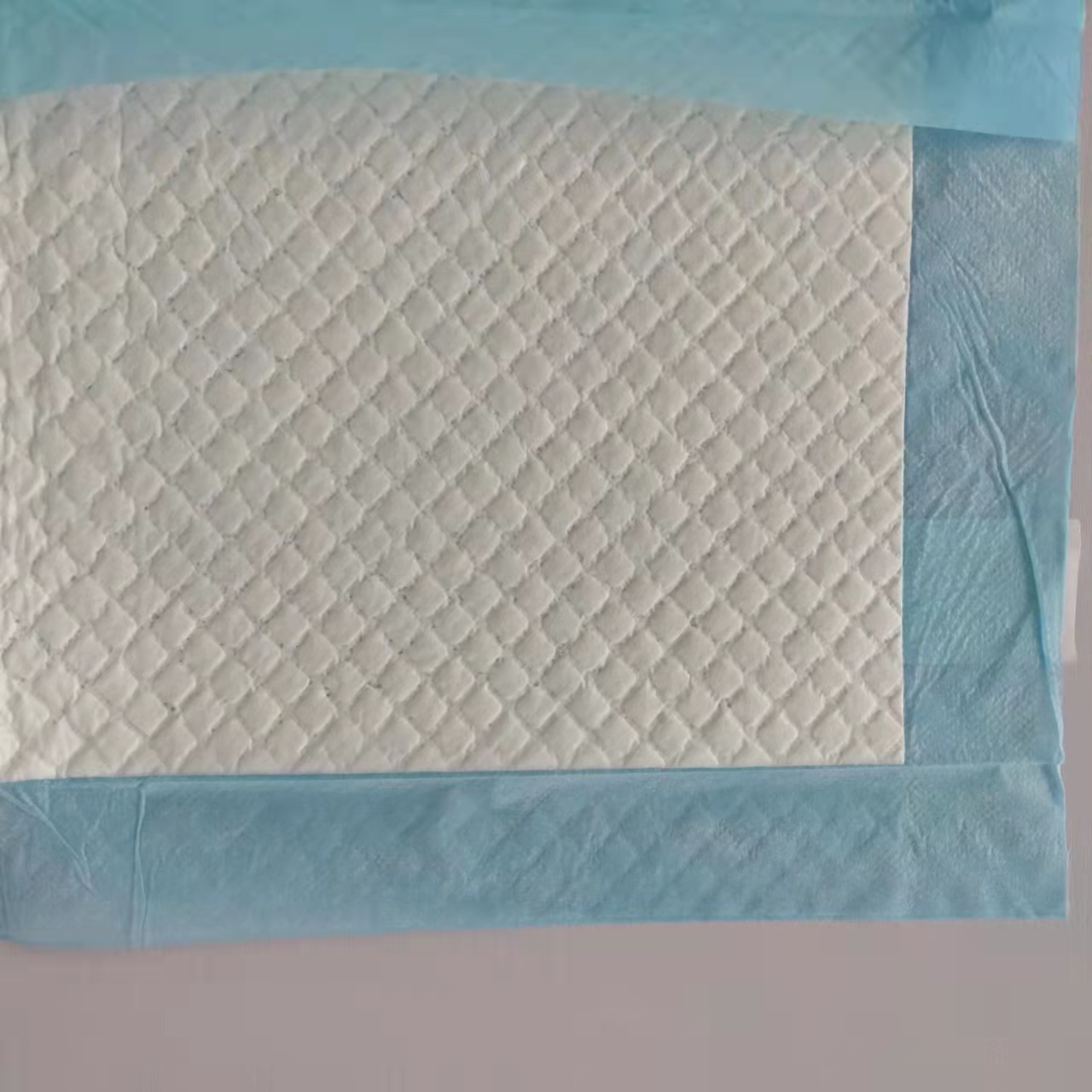 Freely Samples Offered Biodegradable Dog Puppy Extra Large Pet Cat Dog Training Puppy Pads