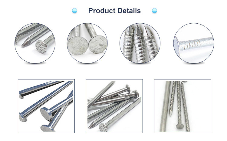 Flat Head Galvanized Common Iron Wire Nails Hardened Steel Concrete Nails