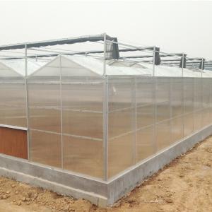 China Hydroponic System for Aquaponics in Multi-Span Agricultural Greenhouse wholesale