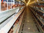 5 Tiers 6 Tiers Poultry Layer Cage H Type Animal Feeding Chicken Metal Cage