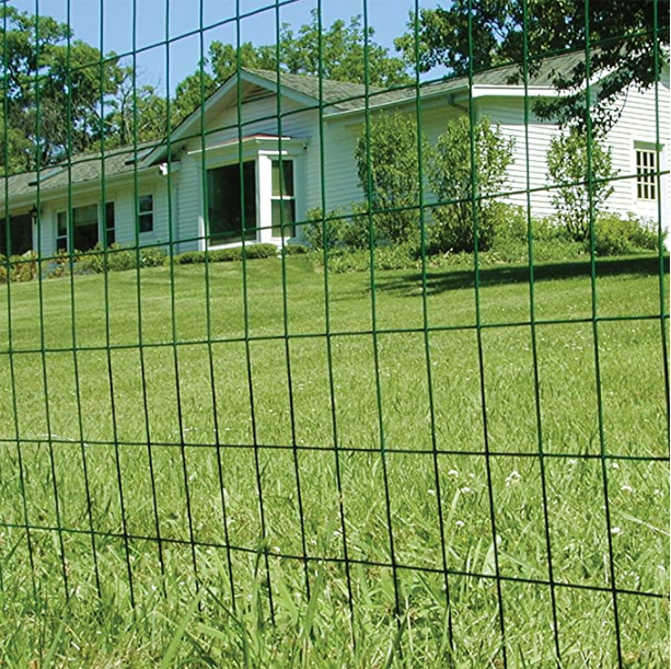 Widely Used Galvanized Welded Wire Mesh For Chicken Pens And Galvanized Welded Wire Mesh Cage