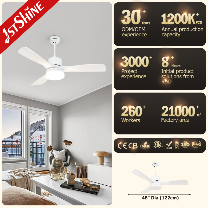 ceiling fan