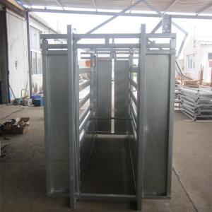 China Galvanized Cattle Yard Equipment wholesale