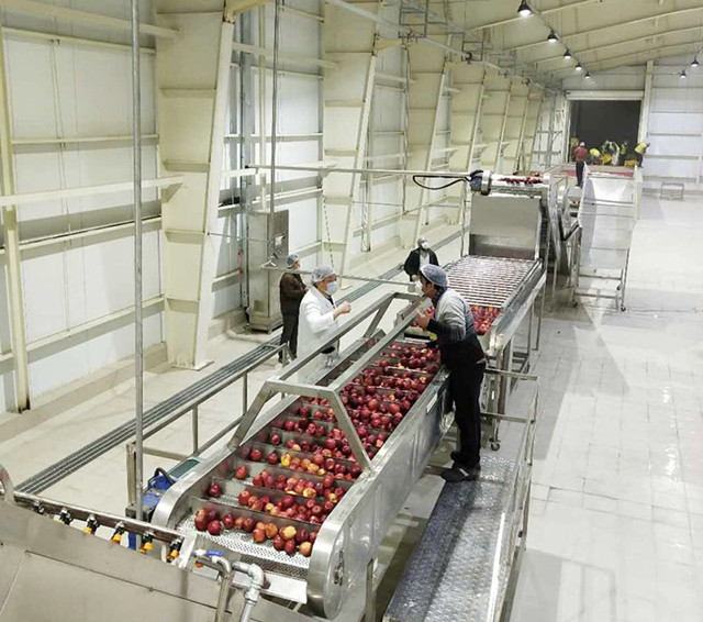 Fruit Juice Filling Production Line Processed fruit mango pulp juice extraction Machine production line