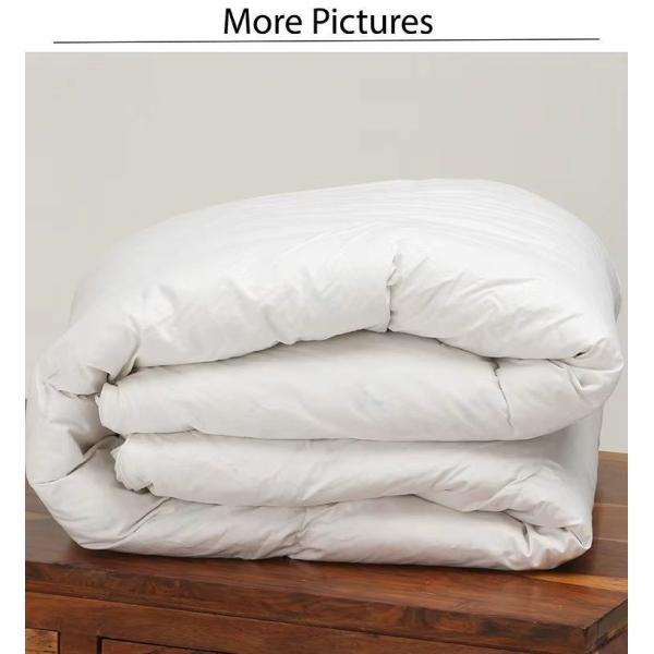 Wholesale White Microfiber Down Quilt Duvet Soft (JRD527)