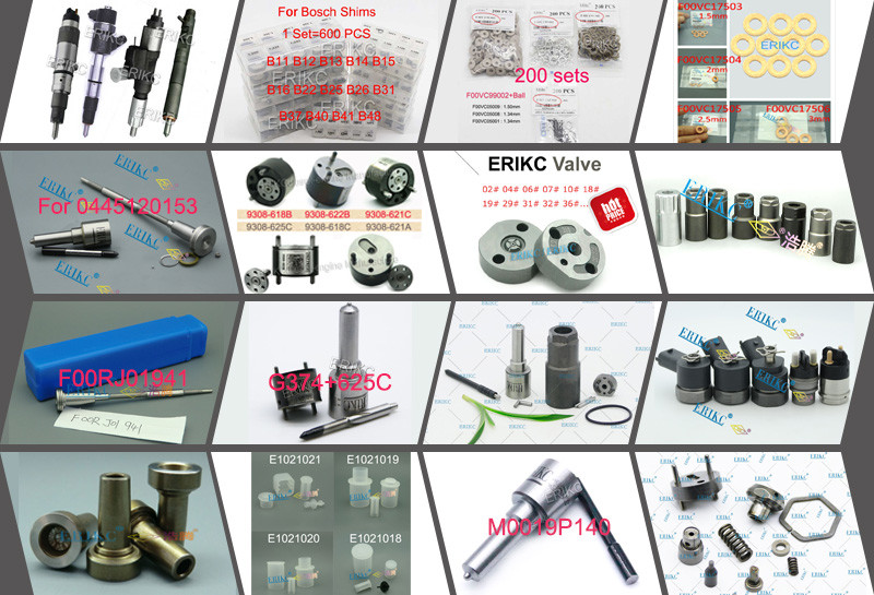 DLLA150P2249 Common Rail Nozzle 0 433 172 249 DLLA150P2249 Auto Fuel Pump Nozzle DLLA150P2249 for 0 445 120 278