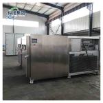 Food Storage Freeze Dryer Machine Complete Specifications for Cooling Drying