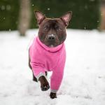 100% Polyester Raglan Puppy Dog Sweaters For French Bulldogs