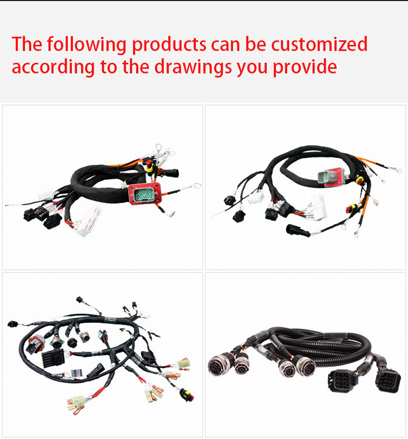 Customize Electric Vehicle Wiring Harness For CP-0004-Muitec CP-0004-EV6 CP-0004-EV1