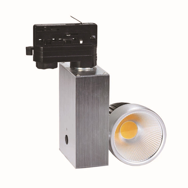 Professional Manufacturer Epistar chips 2*10W COB LED Tracklight