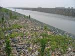 Low Flexibility Good Embankment Stone Cage Net 80x100mm