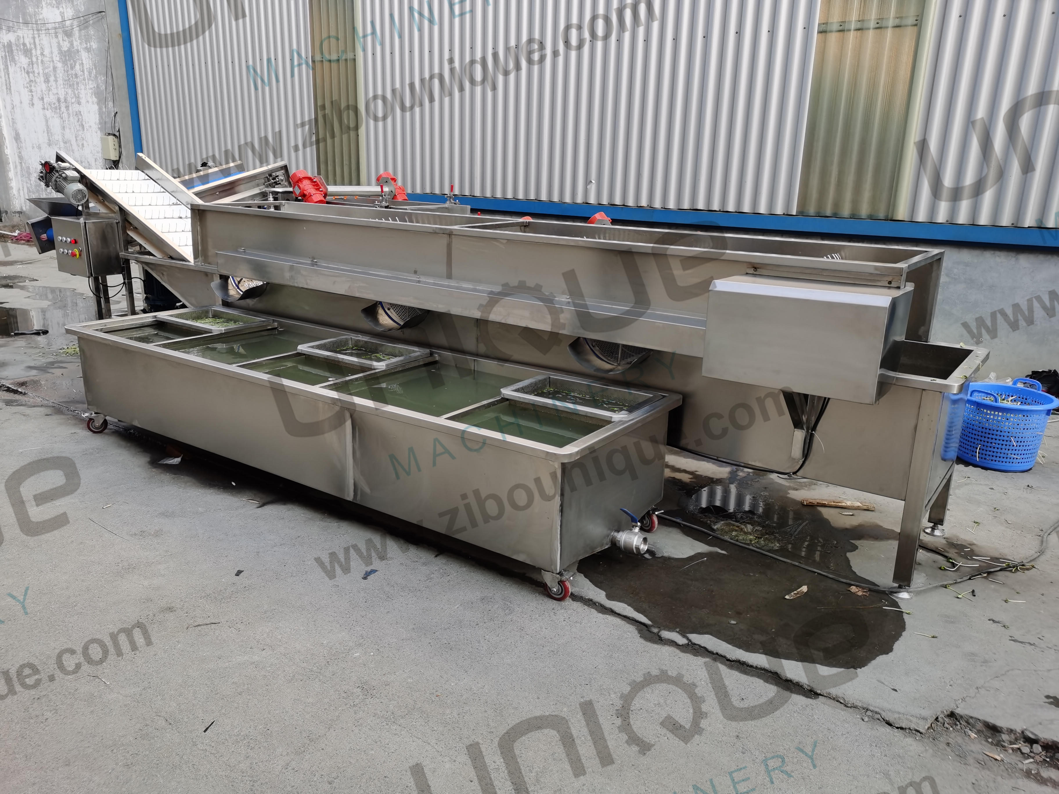 Design Alfalfa / Micro Greens Vegetable Bubble Washing Machine for Food Beverage Shops
