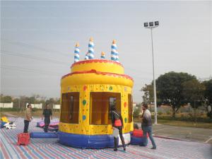 China Birthday Cake Bouncy Castle (CYBC-55) wholesale