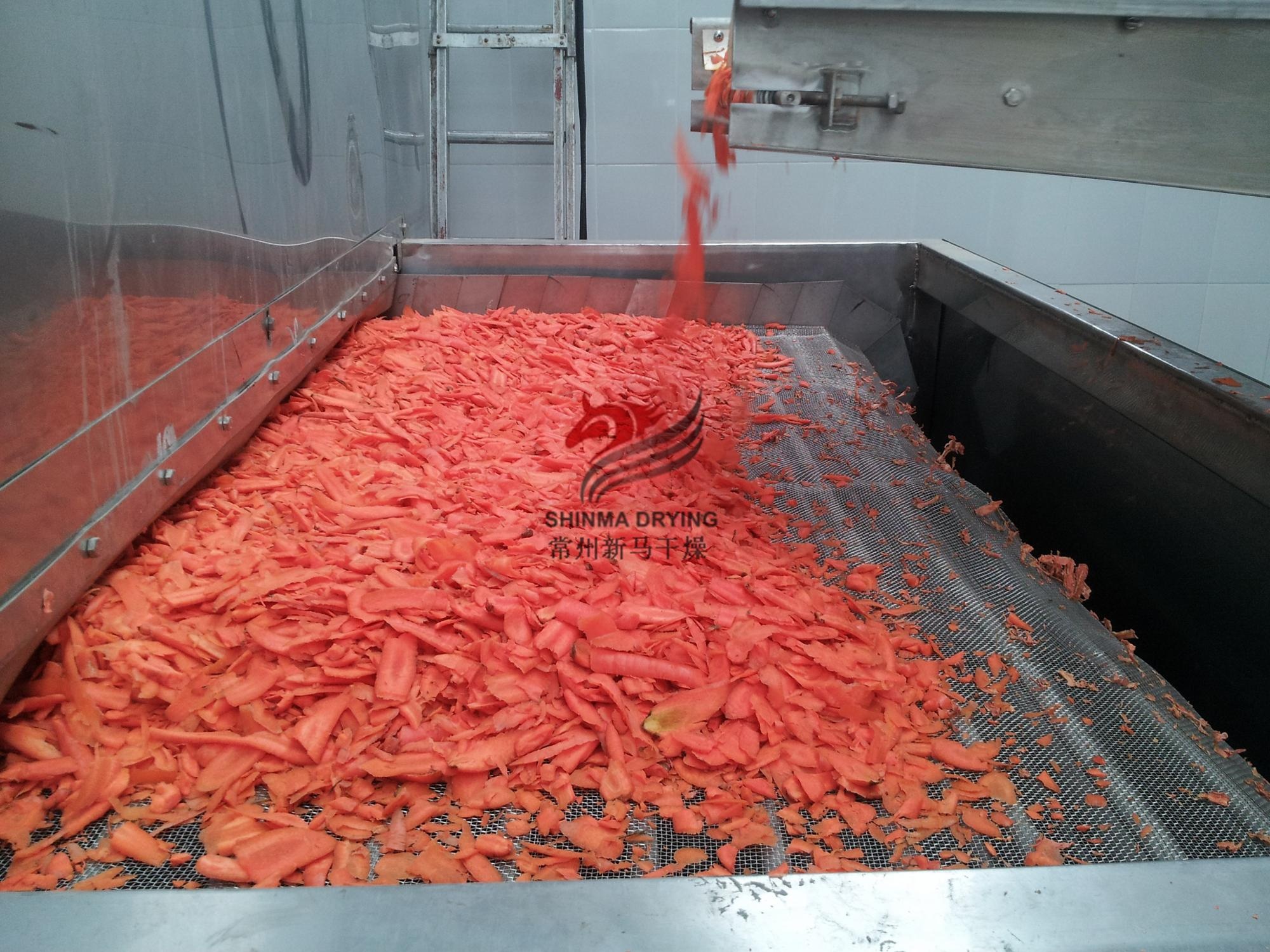 400kg Per Hour Fruit Dehydrator Machine Dehydrator Belt Vegetable Dryer Machine