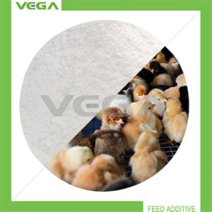 China Veterinary Product Enrofloxacin Powder wholesale