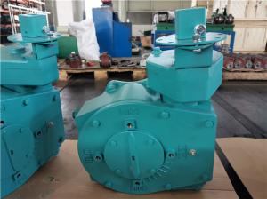 China 25% Efficiency 9800Nm Ductile Iron Worm Gear Operator wholesale
