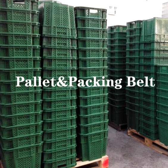 Plastic Moving Box Containers For Fruits Vegetables Internal Size 590x410x330mm