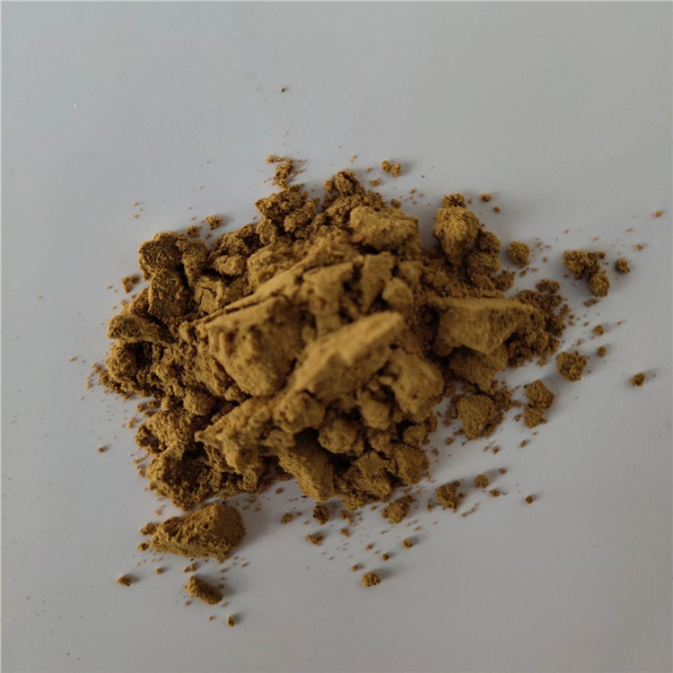 Medicine Grade immune anti-fatigue isatis root extract for capsule