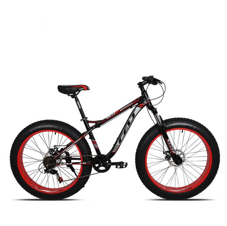Disc Brakes Aluminum 26 Inch Kids Fat Tire Bike
