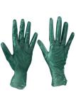 Smooth Surface Surgical Hand Gloves , Disposable Rubber Gloves Food Safe