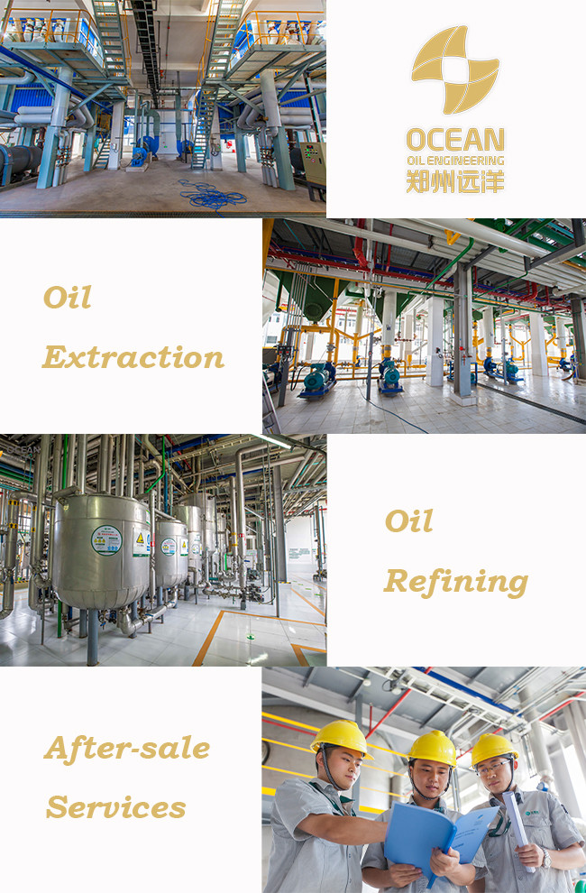 OEM Chemical Physical Refining Of Crude Palm Oil 30-1500TPD