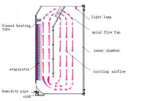 Lab Tissue Culture Incubator Co2 ISO CE Carbon Dioxide Incubator In Cell Culture