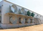 Painted Steel Structure Poultry House