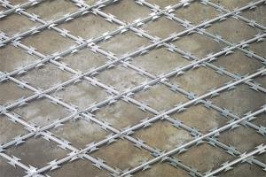 China Welded Razor Barbed Wire Fence With 25-35mm Barbs And 75X150mm Mesh wholesale