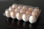 Convenient 8pcs 0.7mm PVC Plastic Egg Carton Transport Egg Incubator Tray