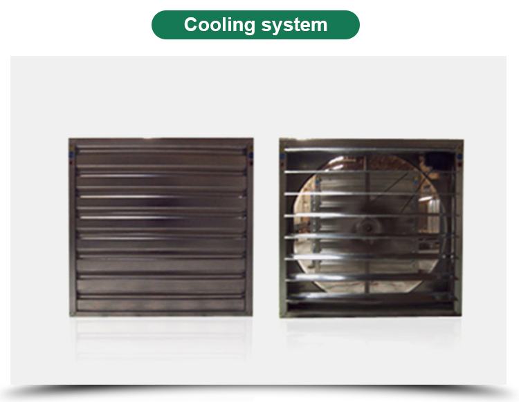 High Yield Hydroponic Greenhouse for Tomatoes Vegetables and Flowers in Any Season