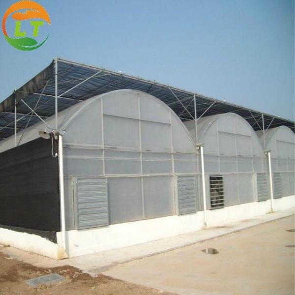 Single Layer Film Cover Greenhouse with Excellent Insulation and Pressure