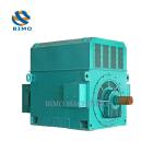 6KV 10KV YKK High Voltage Electric Motor 220kw-4500kw 3 Phase AC Asynchronous