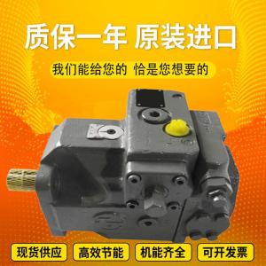 China A4VSO180DRG/22R-VPB13N00 A4VSO250EO1/30R-PPB13N00 InjectionmoldingmachineplungerpumphydraulicRexrothmotor wholesale