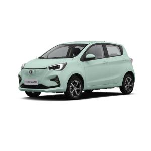 China Changan Beni E-star 301km Range EV Cars New Energy Vehicles High Performance 101km/h wholesale