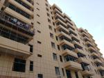 Waterborne Stone Look Paint Stone Like Coating for Exterior Wall