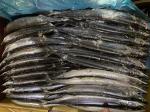 Cololabis Saira High Protein Whole Round Sea Frozen Pacific Saury #4