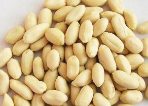 China Grade AA Blanched Fried Peanut Kernel , Roasted Traditional Seeds Salted wholesale