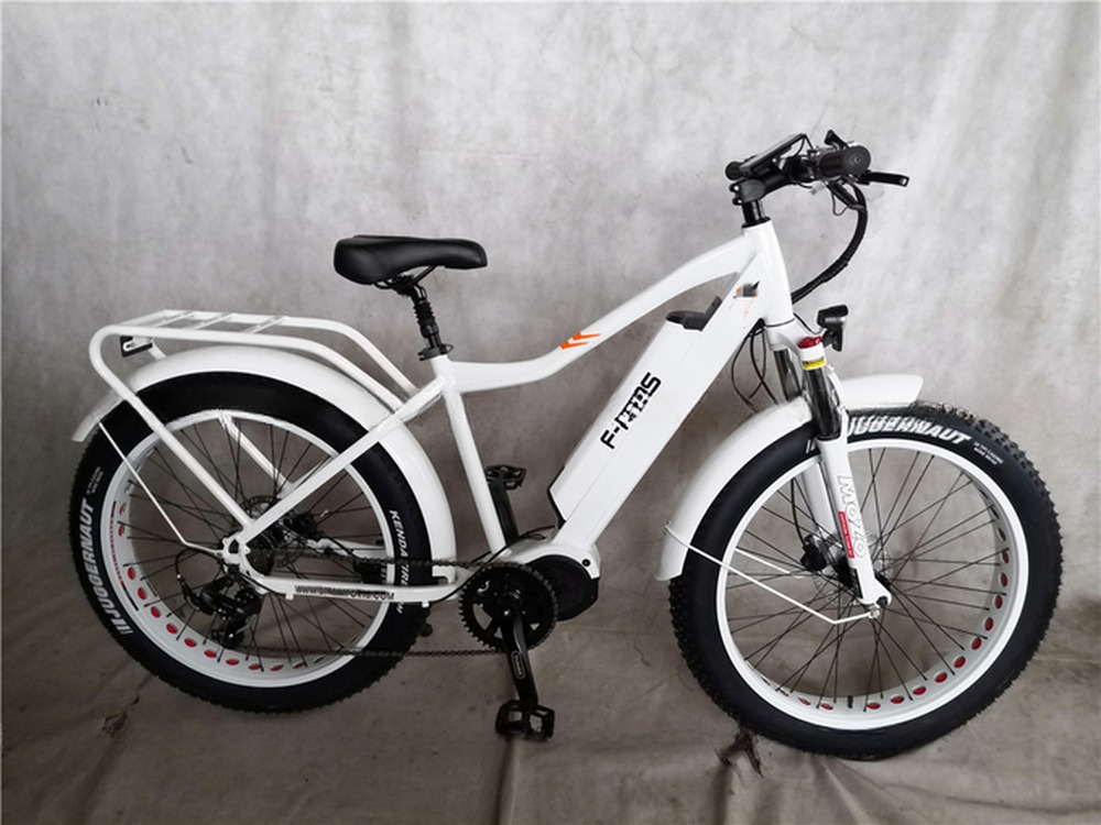 48V Electric Dual Motor 1000 Watt Long Range Fat Tire Cargo E-Bike with Fast Charging