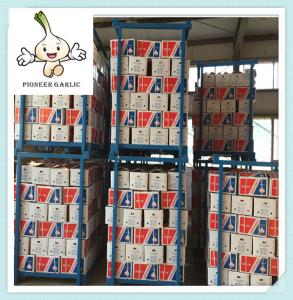 China 2016 Price of Garlic from China (GRADE AAA) Fresh Garlic For Sale wholesale