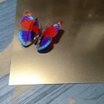 China Foshan Manufacturer sandblast beadblast stainless steel sheet with anti