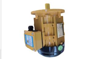 China Small Mini Electric Water Pump Motor 2 Speed 3 Phase Motor wholesale
