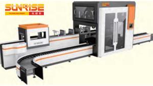 China Pick and Place Case Packer wholesale